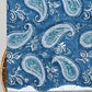 CHANDERI COTTON DUPATTA