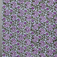 CHANDERI COTTON DUPATTA