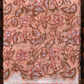 KOTA DORIYA (3PC) SUIT