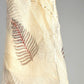 KOTA DORIYA LACE DUPATTA SUIT